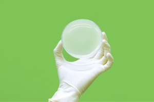 gloved hand holding a petri dish